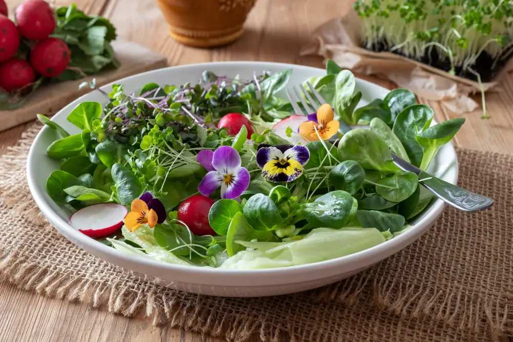 Jíme sezónně: Květnový talíř plný barev díky sezonním potravinám